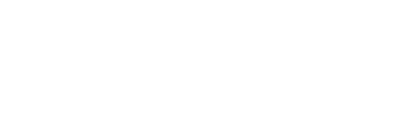 Development process flow 